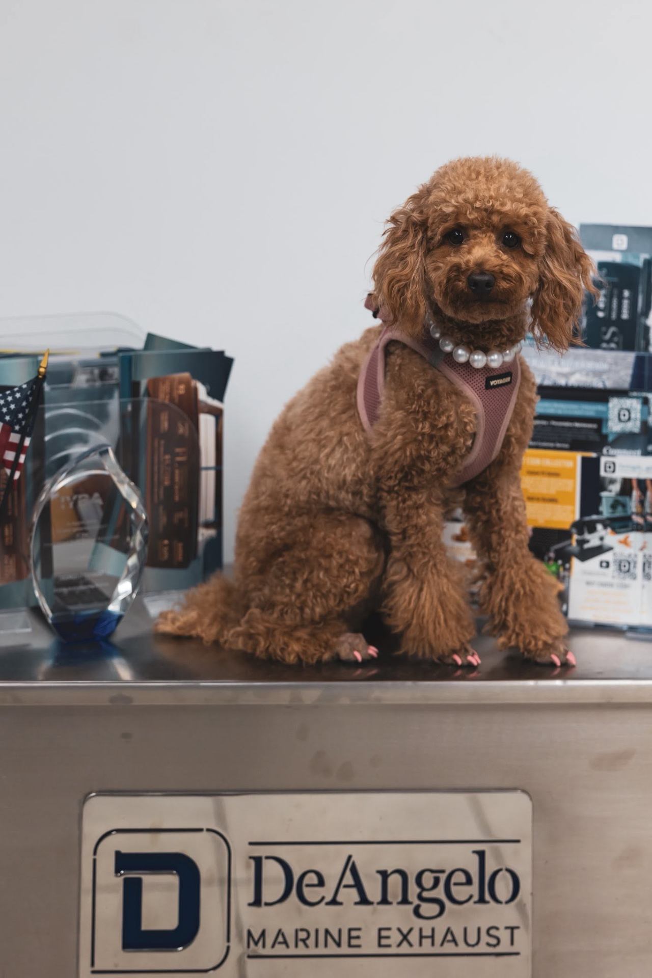 Front Desk Mascot