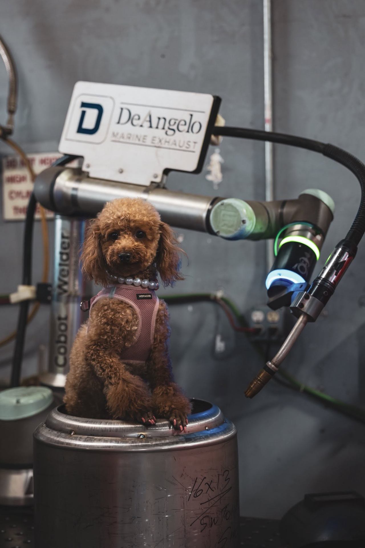 Shop Mascot at the Cobot Welder
